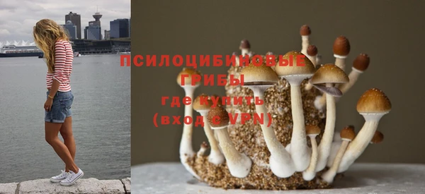 молекула духа Новокубанск