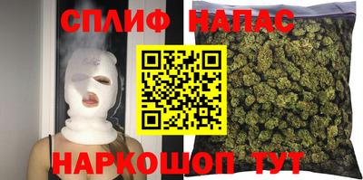 прущие грибы Аргун