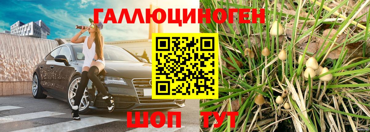 Галлюциногенные грибы Cubensis  Барнаул  Галлюциногенные грибы Cubensis 