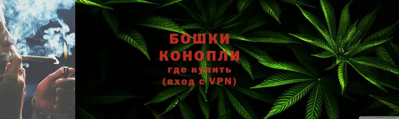 Канабис сатива  магазин продажи наркотиков  Барнаул 